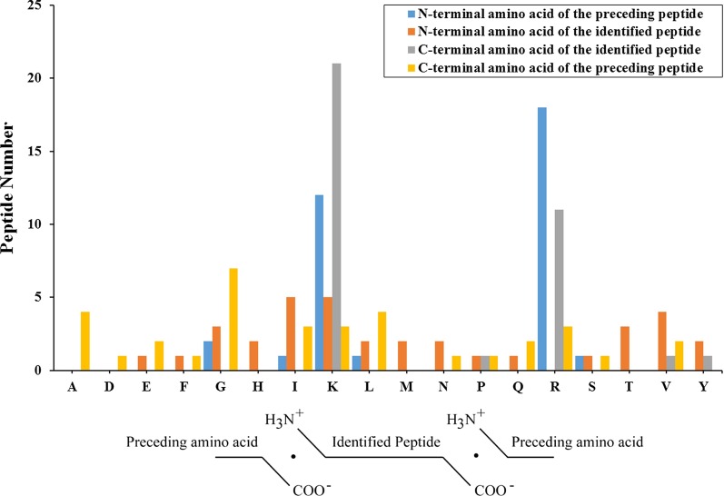 Unlocking the Potential of Peptidomics: Cerebrospinal Fluid Analysis in Neonatal Hypoxic-Ischemic Brain Damage