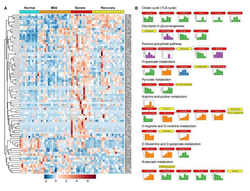 Figure 2. Changes in major metabolites in serum at different stages