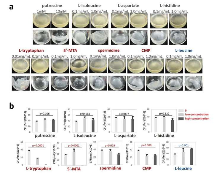 Figure 7. Five Functional Metabolites Display Different Patterns Directly Regulating Biofilm Formation