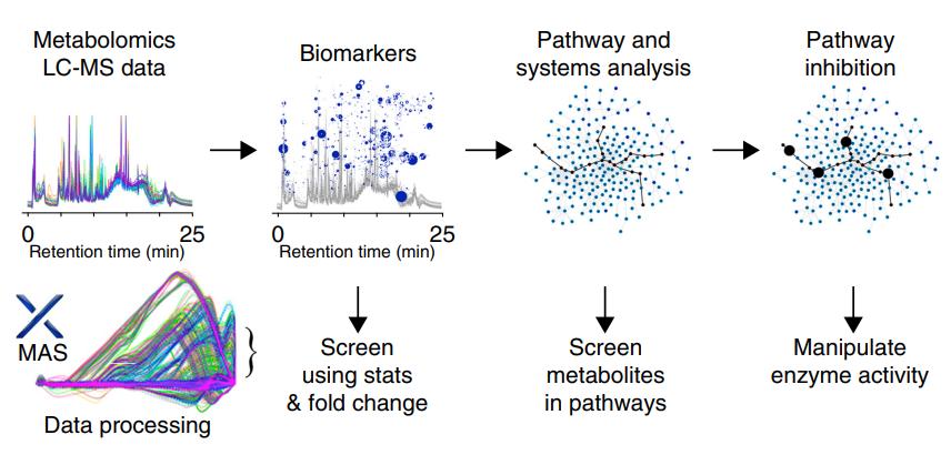 MAS for the identification of endogenous metabolites that modulate phenotype