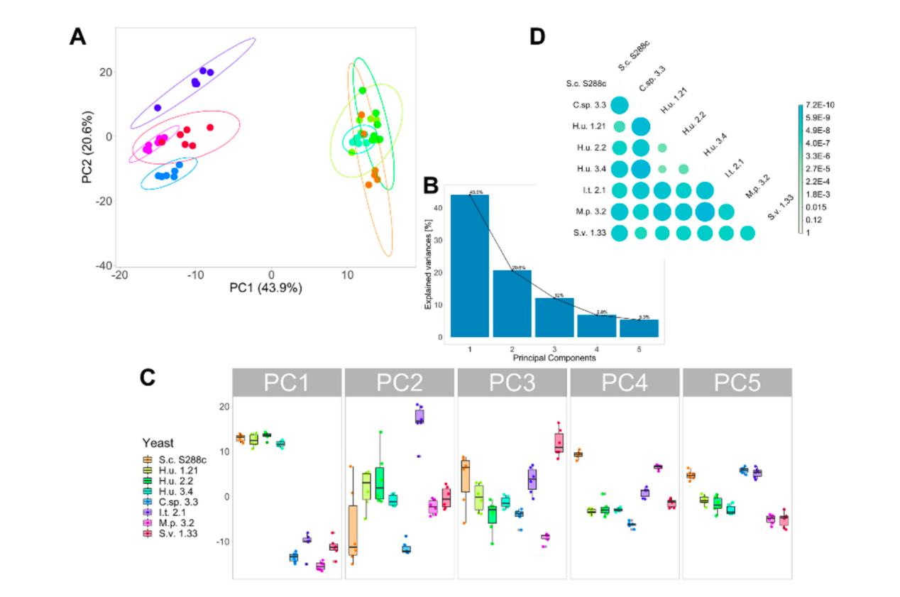 Principal component and multivariate analysis of yeast lipid profiles.