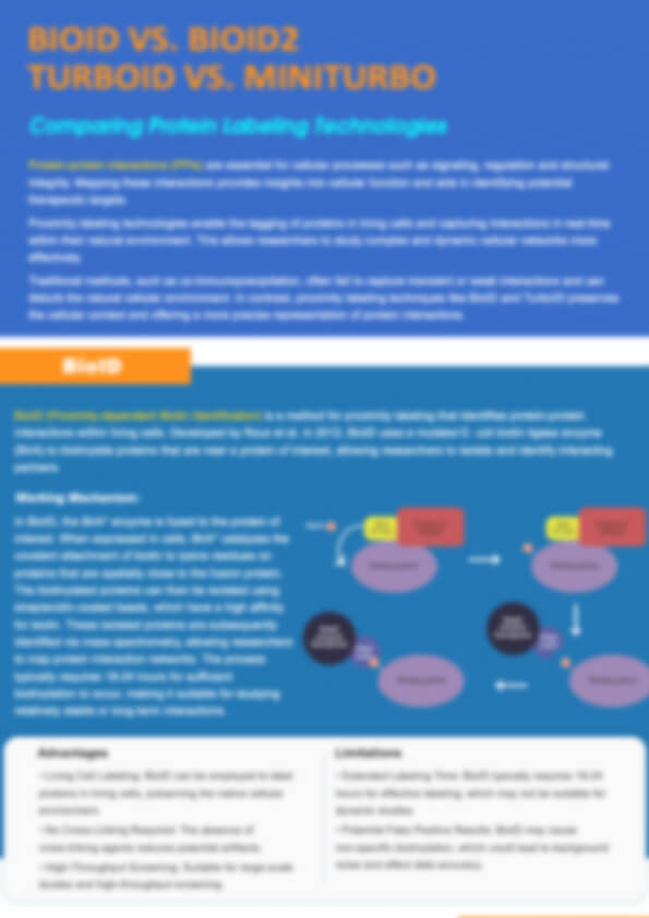 Comparing BioID, BioID2, TurboID, and miniTurbo 