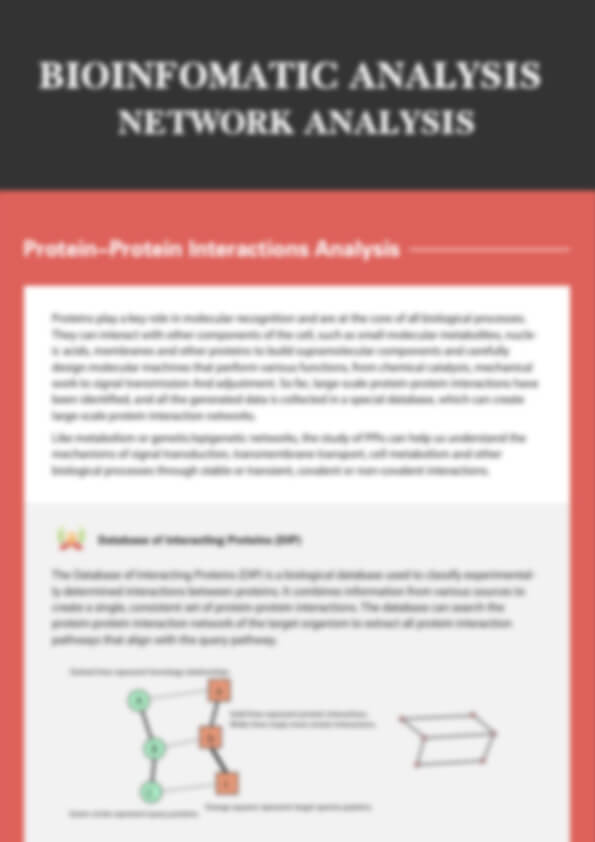 What is Network Analysis?