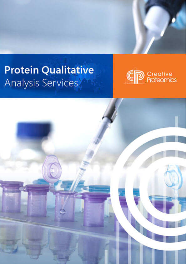 Protein Qualitative Analysis Services