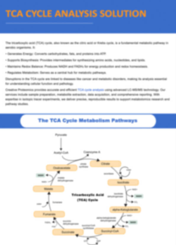 TCA Cycle Analysis Solution