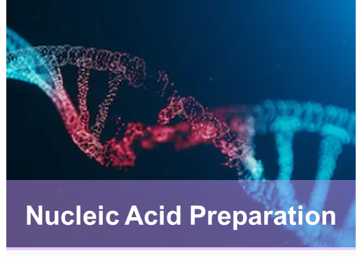 Nucleic Acid Preparation- Creative Proteomics