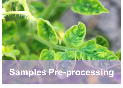 Samples Pre-processing- Creative Proteomics