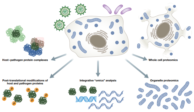 Overview of proteomic tools that have been utilized in the study of host-pathogen interactions.