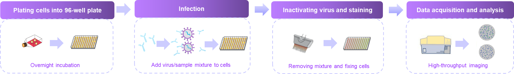 The flowchart of FRNA assay- Creative Proteomics