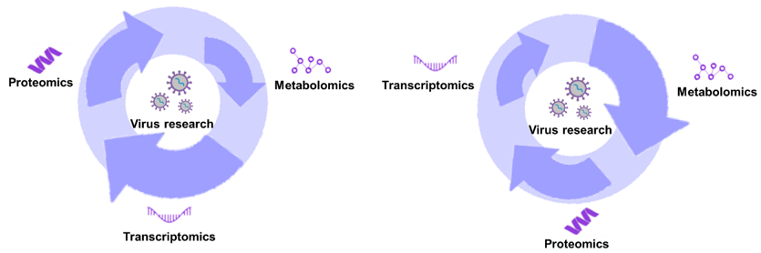 Fig1. Integrated transcriptomics, proteomics and metabolomics analyses for virus research -Creative Proteomics