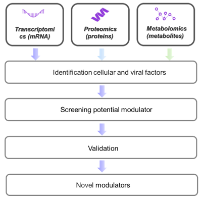 Fig2. Discovery pipeline for novel markers of virus-host interactions -Creative Proteomics