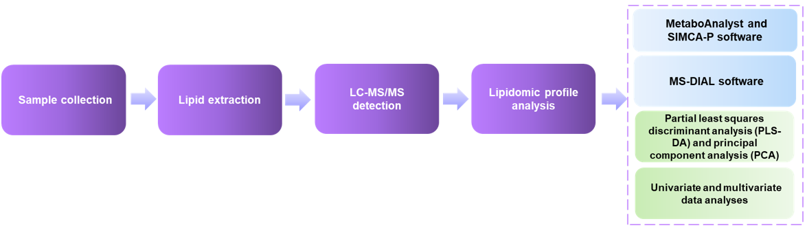 The workflow of our services.