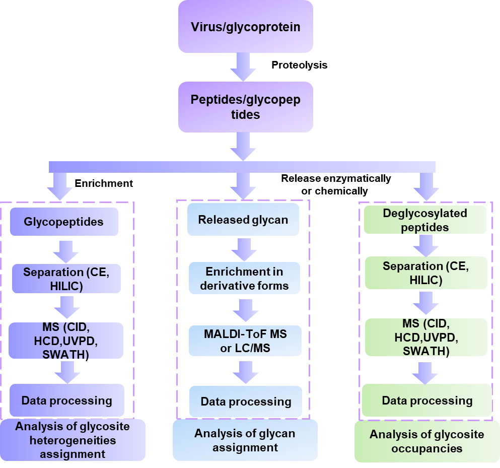 The workflow of our services