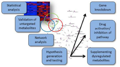 Statistical analysis, pathway analysis, and validation strategies for metabolomics workflows. 