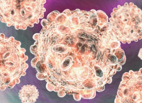 Illustration 3D of hepatitis C virus (HCV).