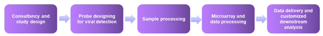 The workflow of DNA microarray-based viral detection service- Creative Proteomics