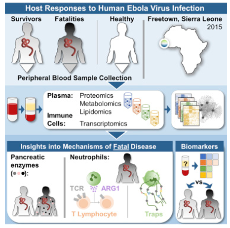 Fig1. Multi-platform’ omics analysis of human ebola virus disease pathogenesis. (Eisfeld, A. J., et al, 2017)