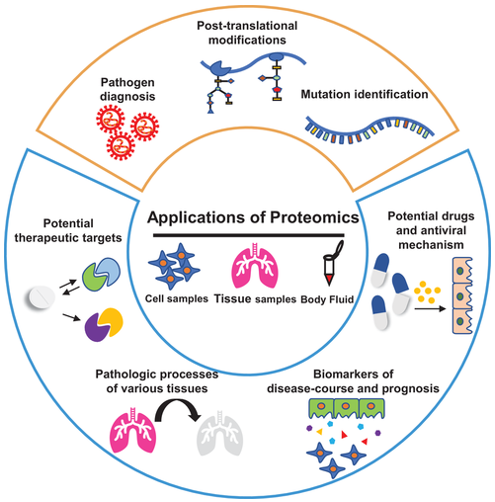 Fig2. Overview of application of proteomics in COVID-19 pandemic. (Yang, J., et al, 2021)