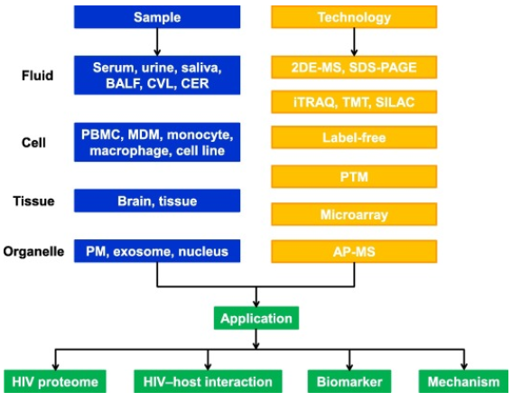 Summary of current proteomic technologies and their applications in the study of HIV infection.