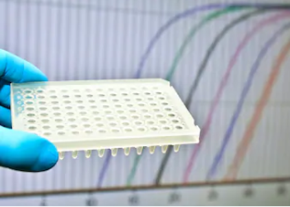 Preparation of real-time PCR 