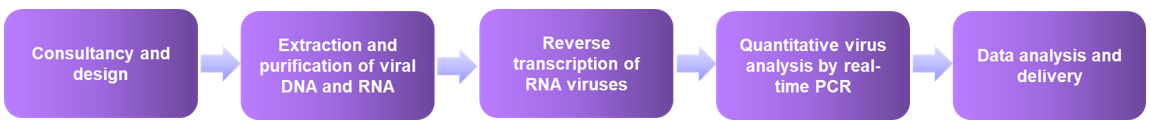 The workflow of virus detection using real-time PCR - Creative Proteomics