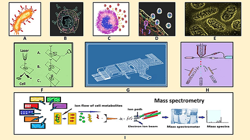 Schematic diagram of virus-host interaction, single cell isolation and single cell metabolomics analysis.