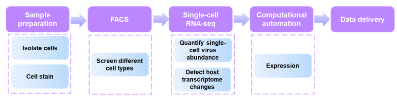 Fig1. FACS-assisted single-cell RNA-Seq workflow on cells from virus-infected and healthy control subjects.- Creative Proteomics