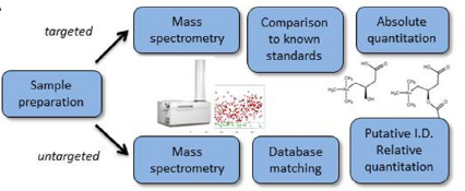 Strategies for targeted and untargeted metabolomics analysis, primarily using LC-MS.