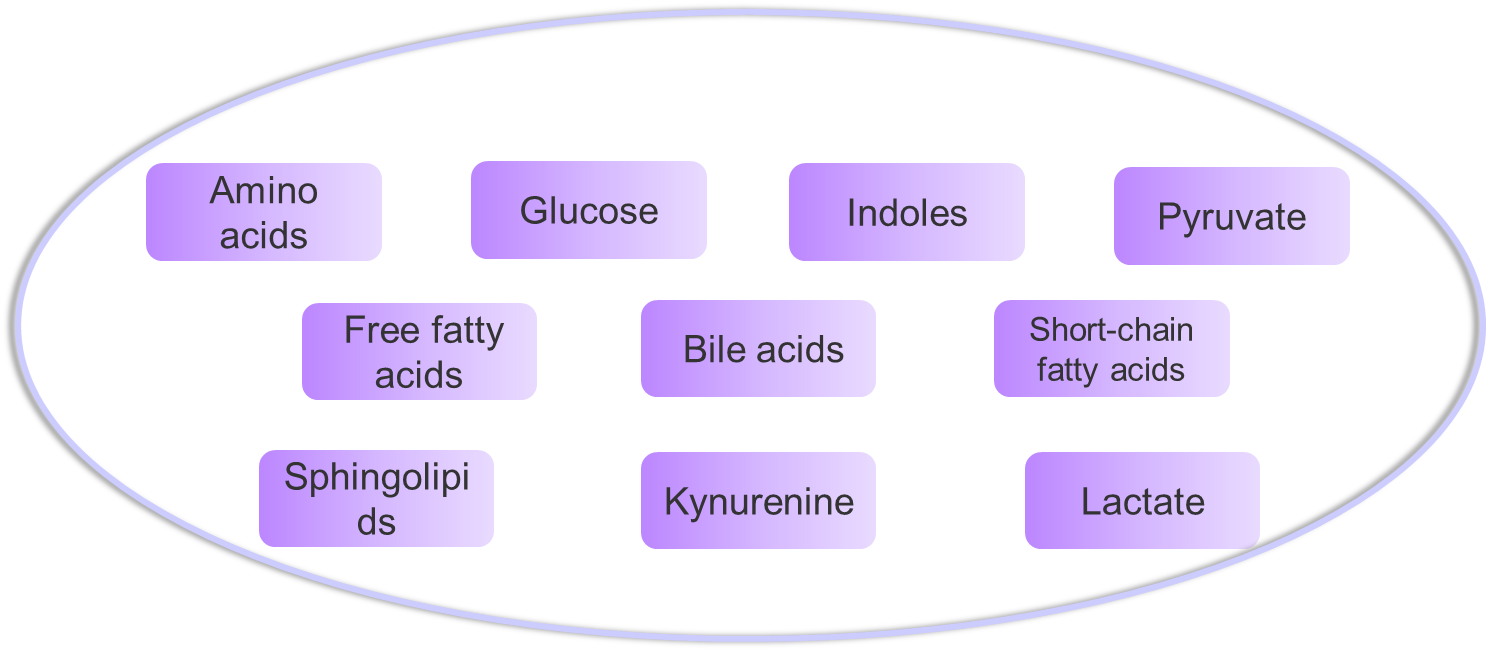 Targeted metabolomics detectable substances