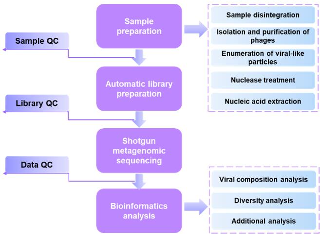 Workflow of viral metagenomic sequencing- Creative Proteomics