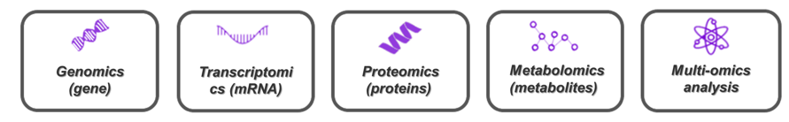 Workflow for metabolomic studies-Creative Proteomics