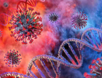 Virus and its nucleic acid.