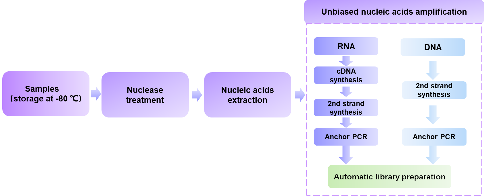 Workflow of viral nucleic acids preparation service- Creative Proteomics