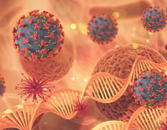 The picture of viral and its nucleic acids.