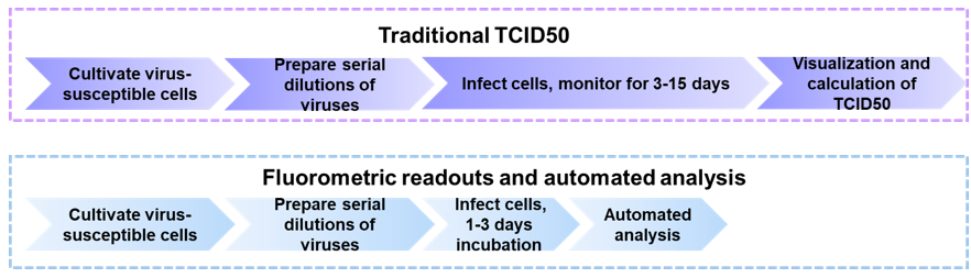 Flow diagrams of traditional and improved TCID 50 assay-Creative Proteomics