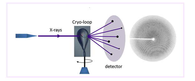 Principle of X-ray crystallography.