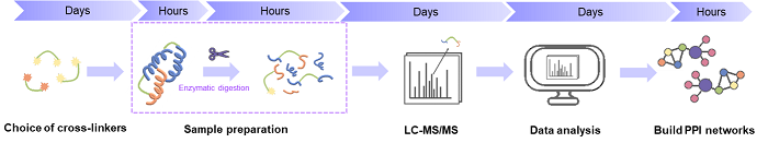 Workflow of the XL-MS method