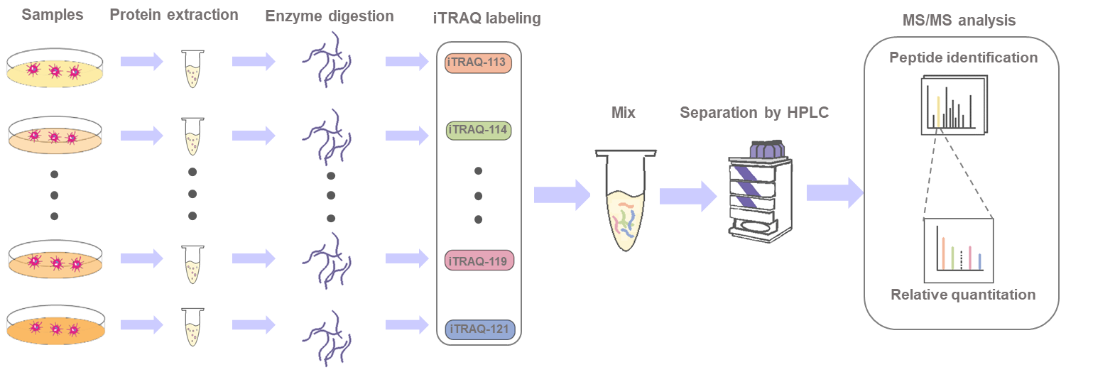 The workflow of our services