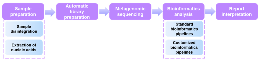 The workflow of virus detection using mNGS - Creative Proteomics