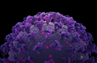 The complete surface structure of epidemic virus COVID-19.